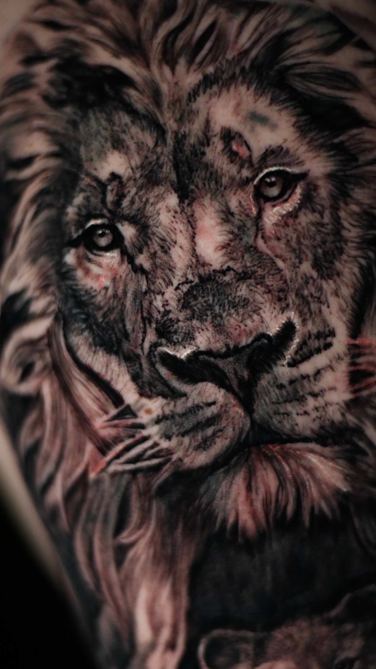 Traditional Art Tattoo